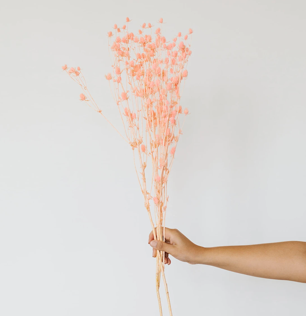 ever bloom - fiori di campo rosa intenso