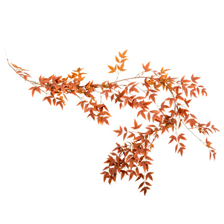 ghirlanda – foglie autunnali
