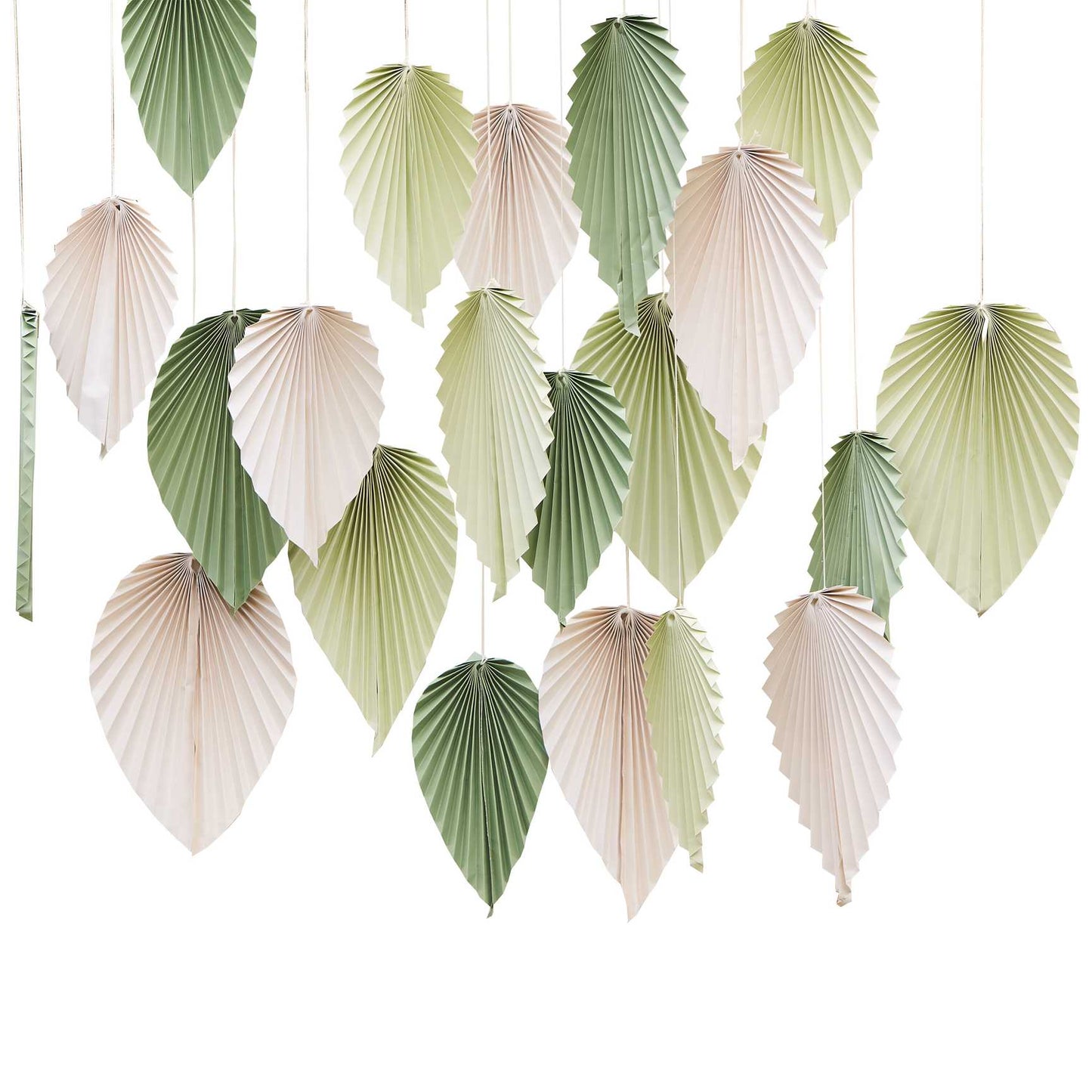 backdrop decorativo - foglie jungle